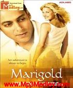 Marigold 2007